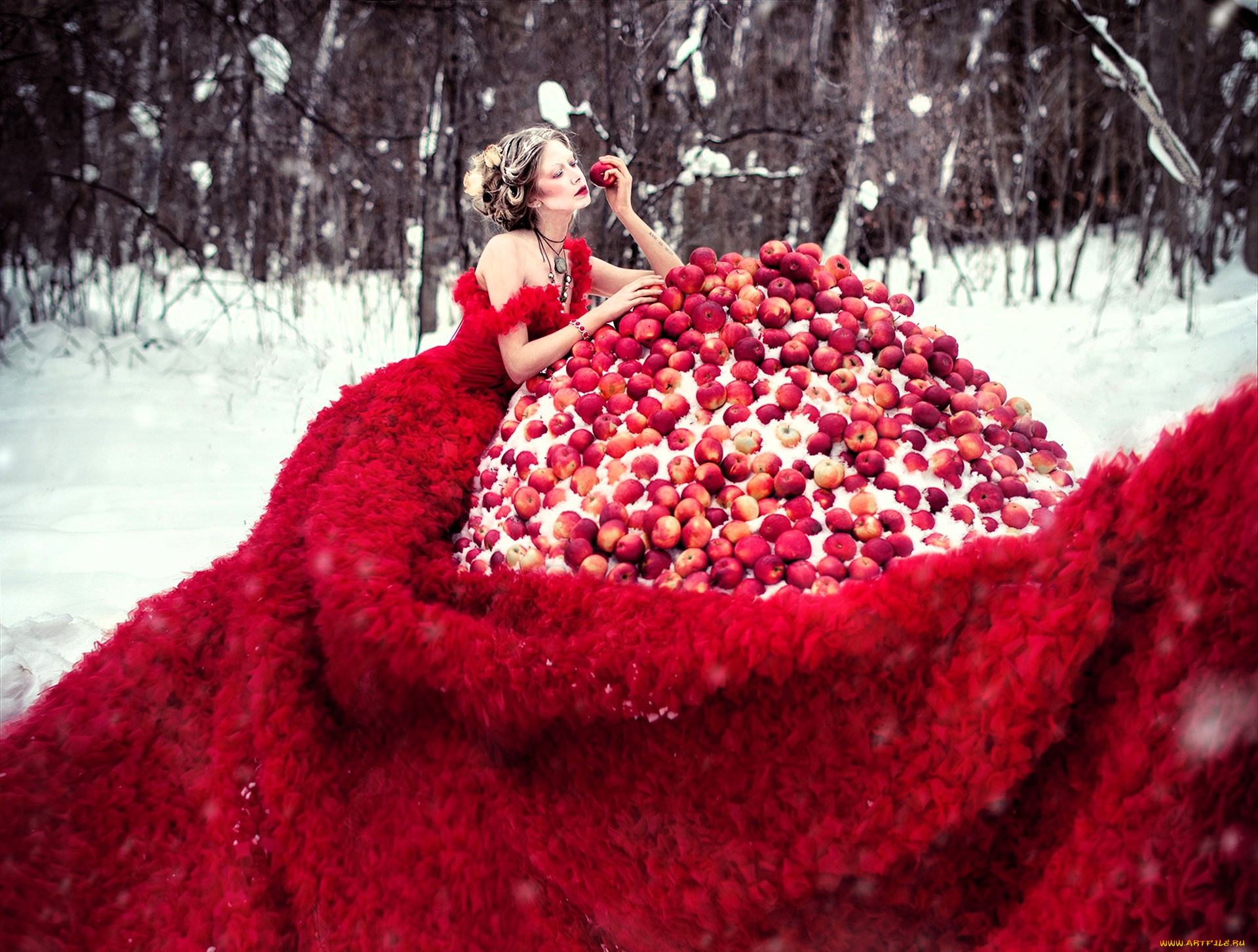 �������, - �������,  �������, ���������, ������, ���, ������, ����, ����, ���